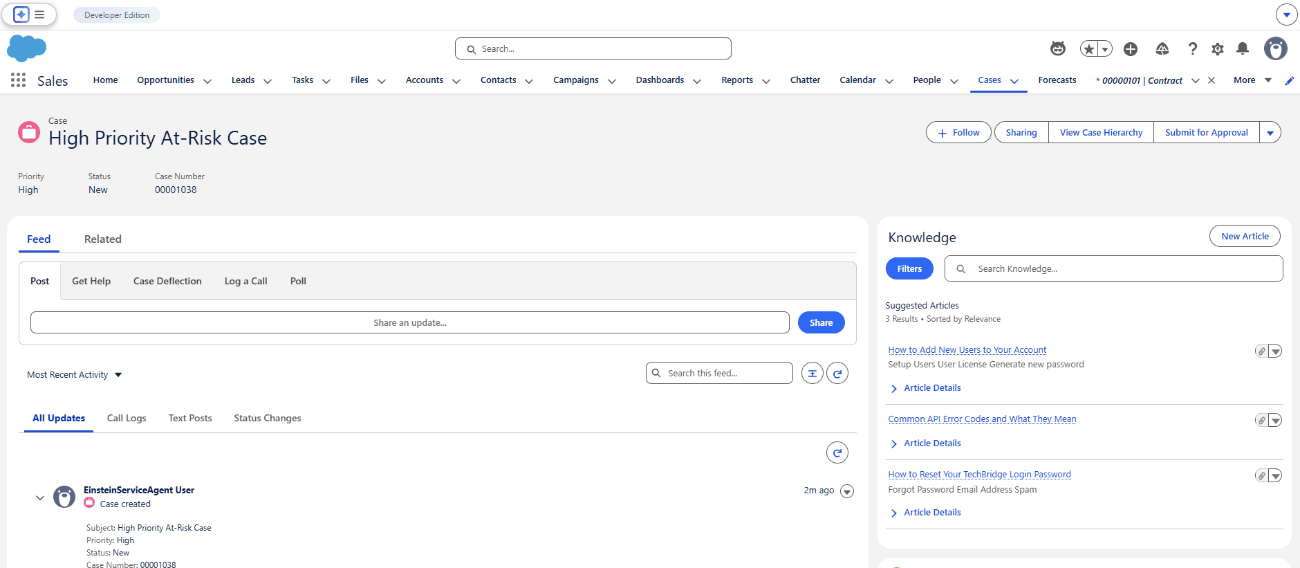 At Risk Case created by Agent Conversation